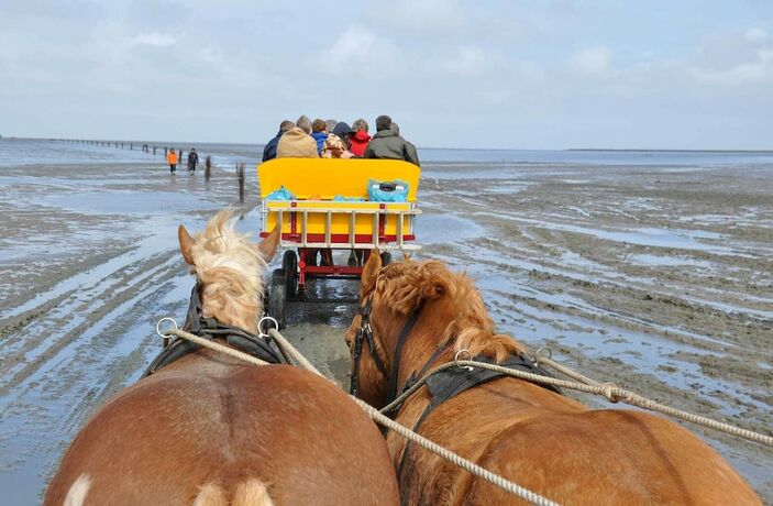 Imagen general del Haus Seeblick. Foto 10
