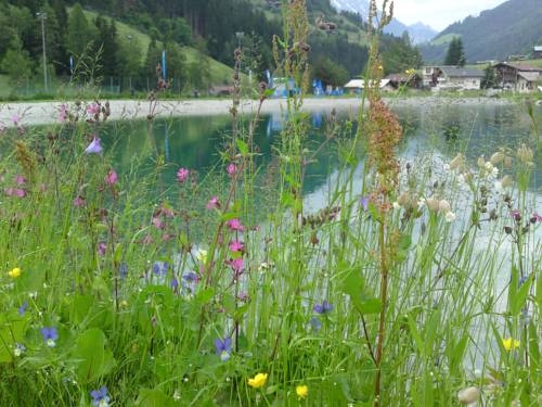 Imagen general del Haus Silvretta. Foto 7