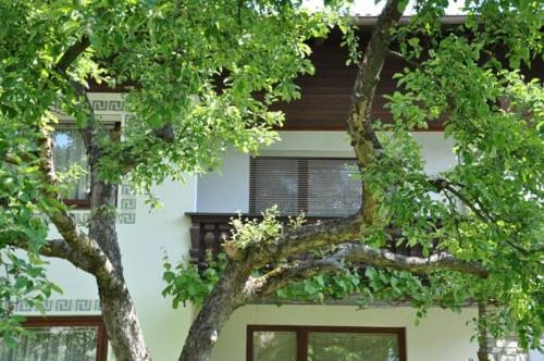 Imagen general del Haus Stella. Foto 4