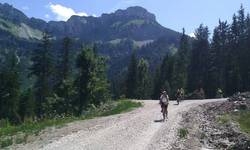 Imagen general del Haus Strutzenberger. Foto 9