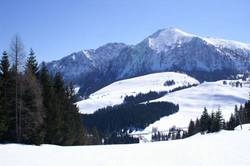 Imagen general del Haus Strutzenberger. Foto 13