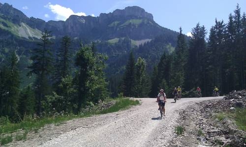 Imagen general del Haus Strutzenberger. Foto 23