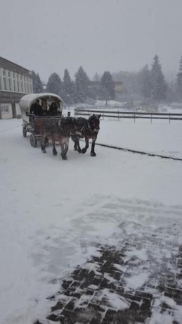 Imagen general del Haus Wiesengrund. Foto 11