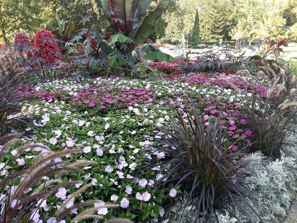 Imagen general del Haus an der Therme. Foto 15