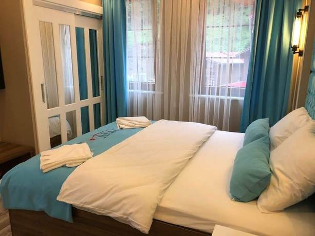 Imagen de la habitación del Hayat Rose Hotel. Foto 8