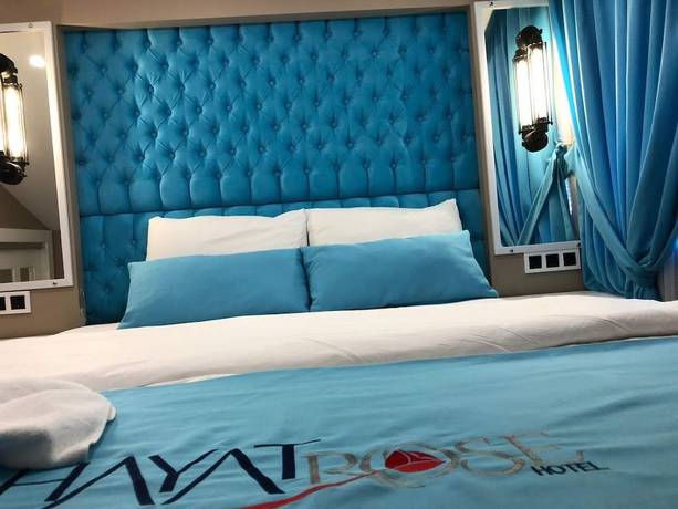 Imagen de la habitación del Hayat Rose Hotel. Foto 11