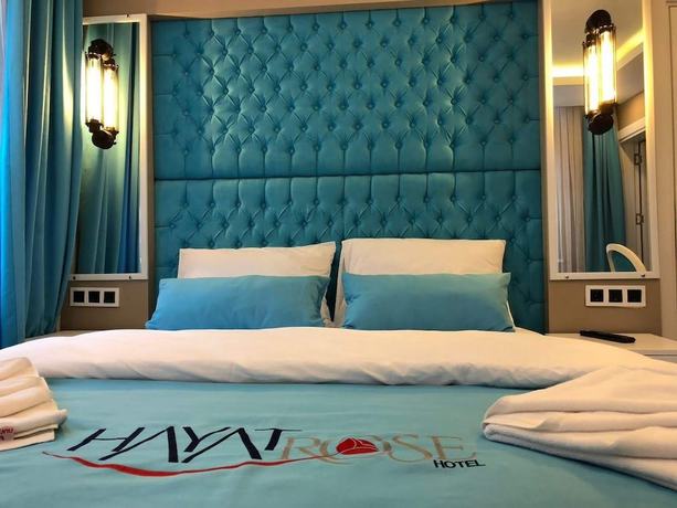 Imagen de la habitación del Hayat Rose Hotel. Foto 13