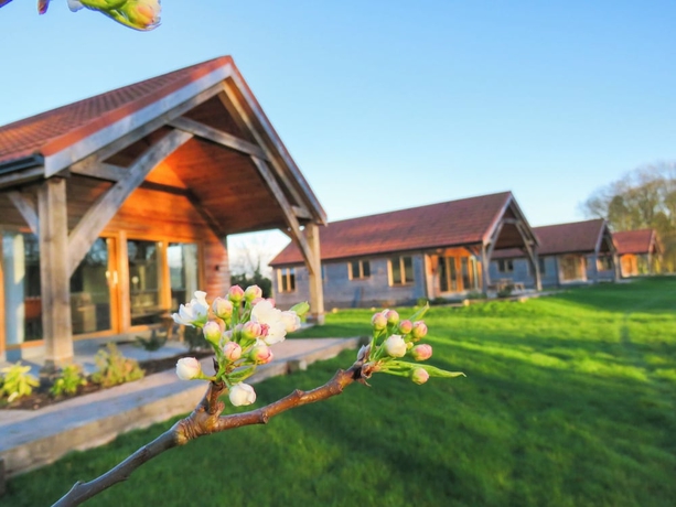 Imagen de la habitación del Hay\'s Wood Retreat. Foto 8
