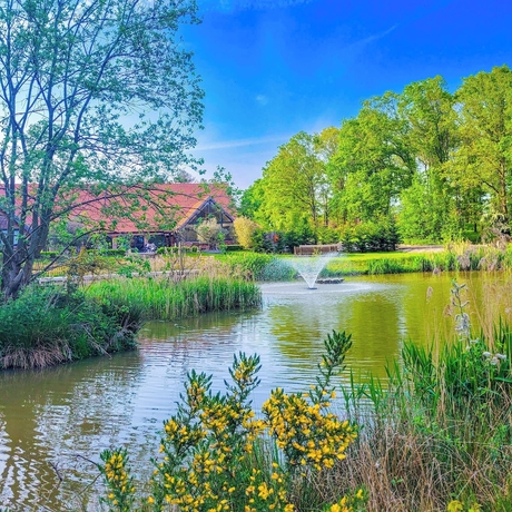 Imagen general del Hay\'s Wood Retreat. Foto 1