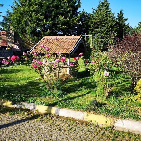 Imagen de los exteriores del Haznedar Bungalow Hotel. Foto 11