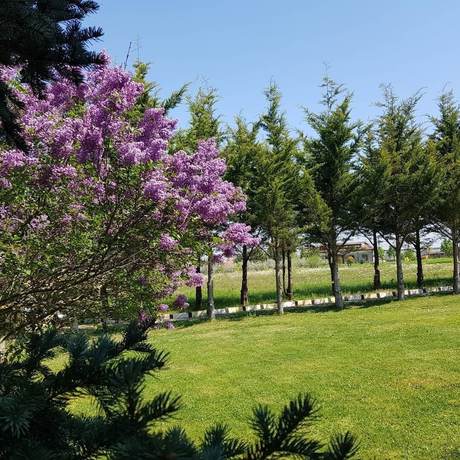 Imagen de los exteriores del Haznedar Bungalow Hotel. Foto 14