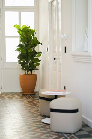 Imagen general del Heart Hotel. Foto 5