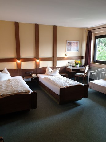 Imagen de la habitación del Heidehotel Anna. Foto 19
