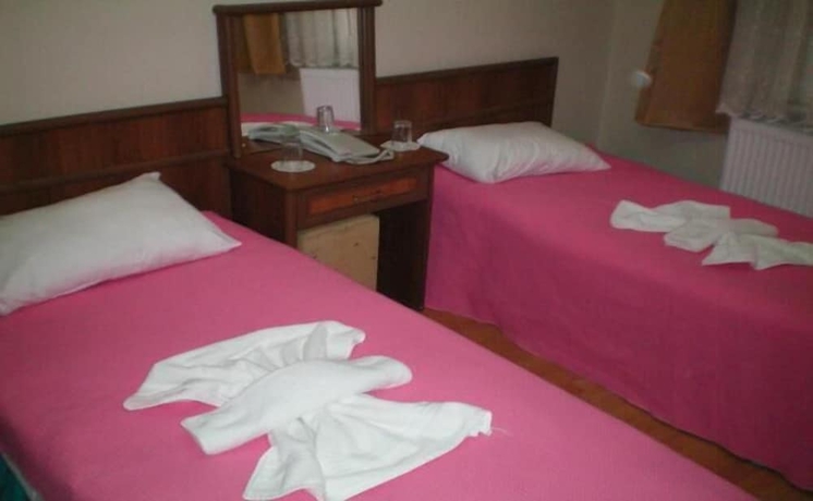 Imagen de la habitación del Hekimoglu Otel. Foto 2