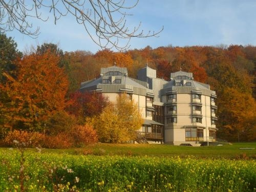 Imagen general del Hellmut-wa&szlig;mer-jugendherberge L&ouml;rrach. Foto 2