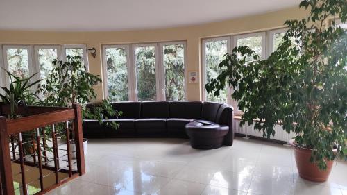 Imagen de los interiores del Henrix. Foto 8
