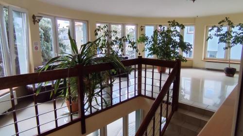 Imagen de los interiores del Henrix. Foto 9
