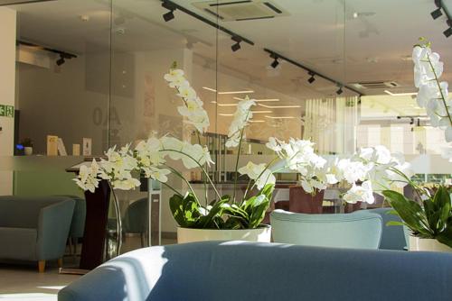 Imagen general del Henryk, Swinoujscie. Foto 4