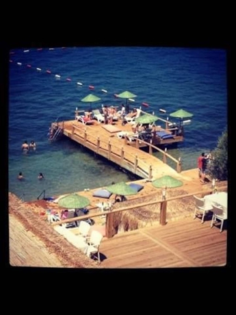 Imagen de los exteriores del Hidden Garden Butik. Foto 13