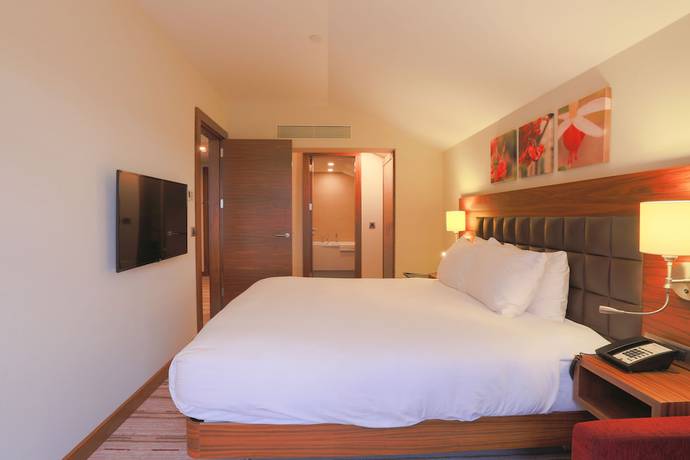 Imagen de la habitación del Hilton Garden Inn Eskisehir. Foto 11