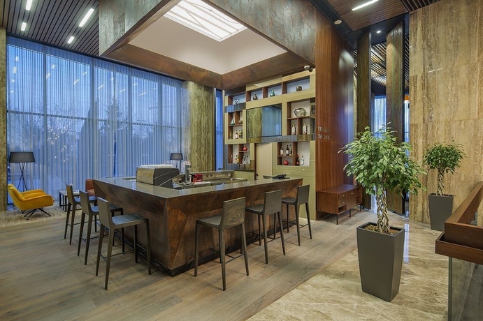 Imagen de los interiores del Hilton Garden Inn Istanbul Airport. Foto 8