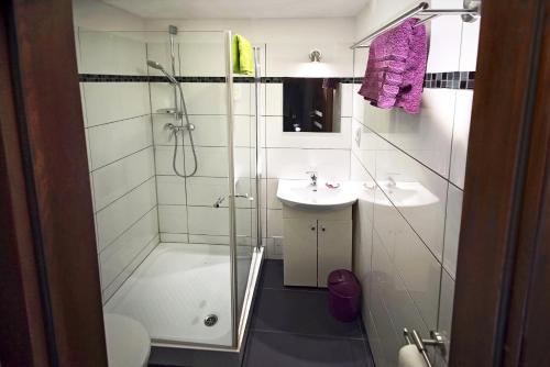 Imagen general del Hirsch Hotel Hanau. Foto 10