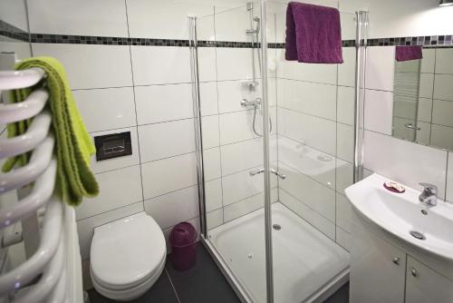 Imagen general del Hirsch Hotel Hanau. Foto 11