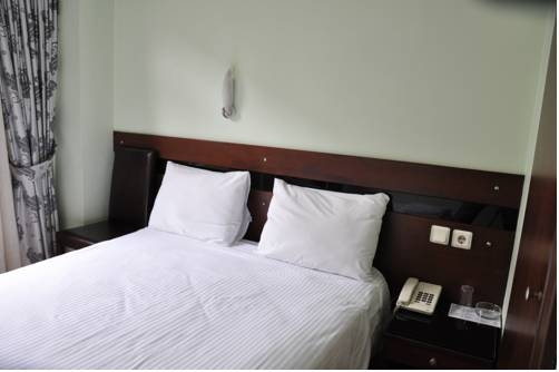 Imagen de la habitación del Hivas Hotel, Estambul. Foto 13