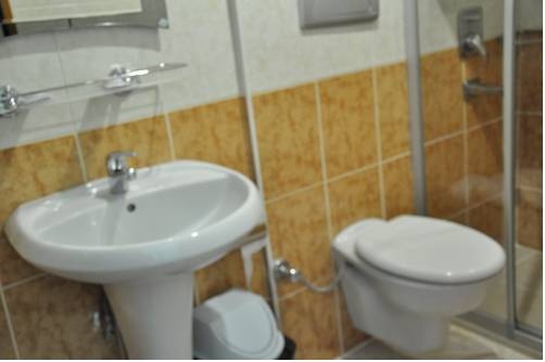 Imagen de la habitación del Hivas Hotel, Estambul. Foto 15