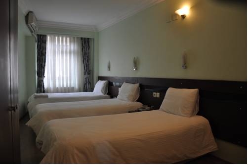 Imagen de la habitación del Hivas Hotel, Estambul. Foto 34
