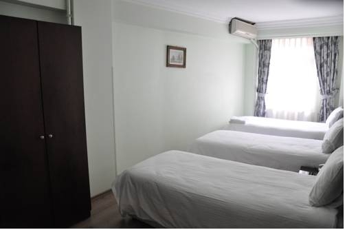Imagen de la habitación del Hivas Hotel, Estambul. Foto 38