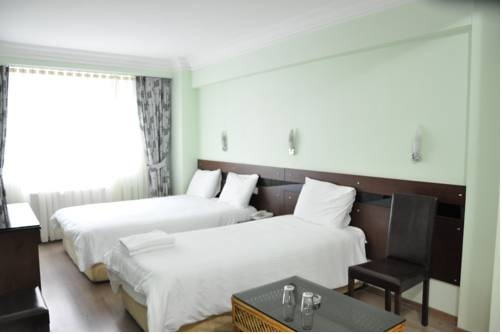 Imagen de la habitación del Hivas Hotel, Estambul. Foto 39