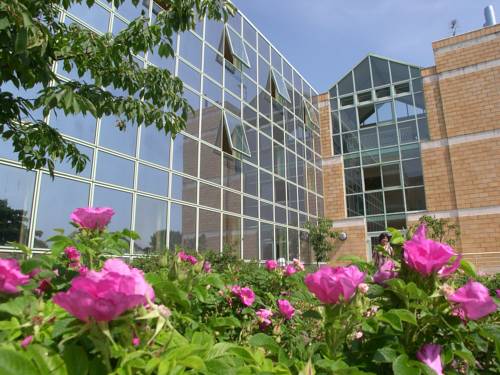 Imagen de la habitación del H&ocirc;tel Atlantica Bordeaux M&eacute;tropole. Foto 3