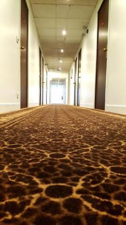 Imagen general del H&ocirc;tel Eclipse. Foto 13