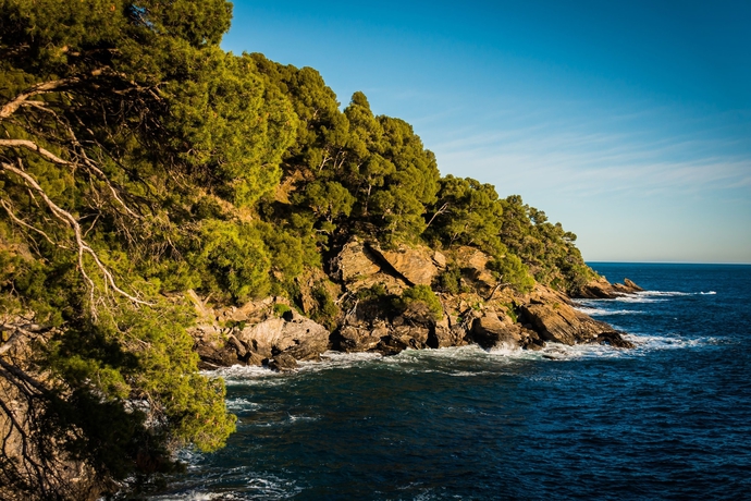 Imagen de los exteriores del Hôtel La Villa Douce. Foto 11