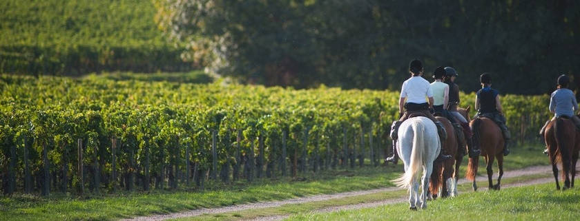 Imagen general del Hôtel La Villa Douce. Foto 4