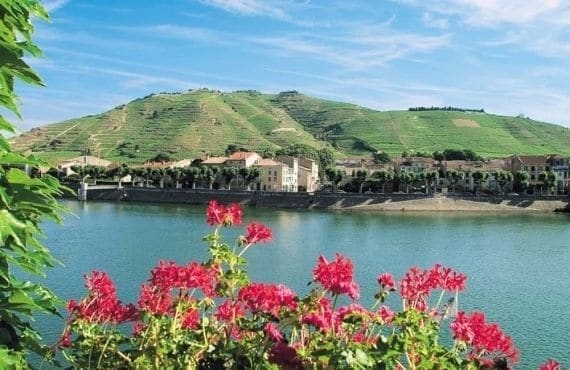 Imagen general del Hôtel Le Château. Foto 3