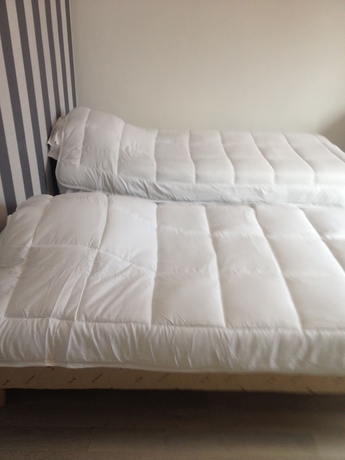 Imagen de la habitación del Hôtel Le Jardin. Foto 12