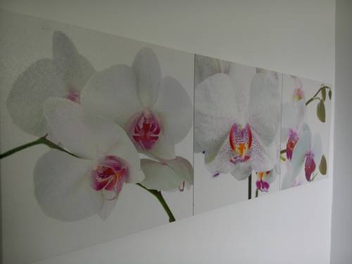 Imagen de la habitación del Hôtel Le Mas Des Quintrands. Foto 5