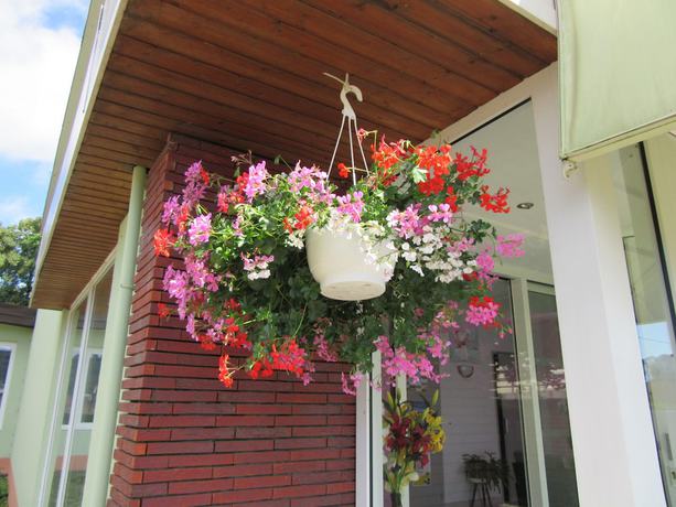 Imagen de los exteriores del Hôtel Le Ronchamp. Foto 16