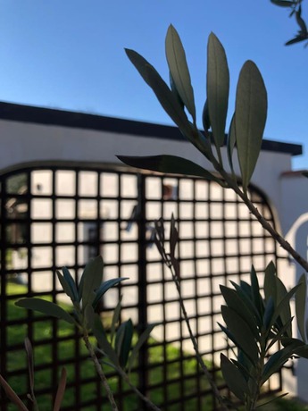 Imagen de los exteriores del H&ocirc;tel Mas le Sauvageon. Foto 16