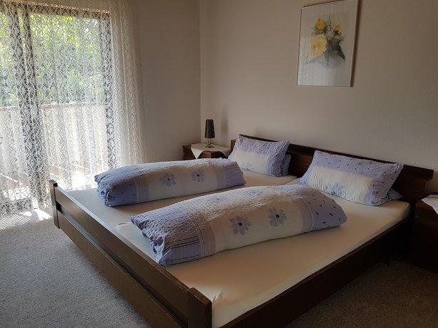 Imagen de la habitación del H&ocirc;tel Restaurant Baumgartner. Foto 12
