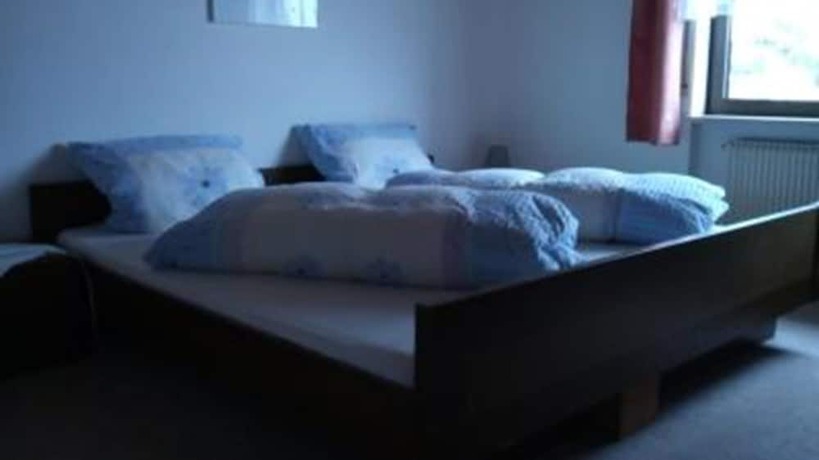Imagen de la habitación del H&ocirc;tel Restaurant Baumgartner. Foto 13