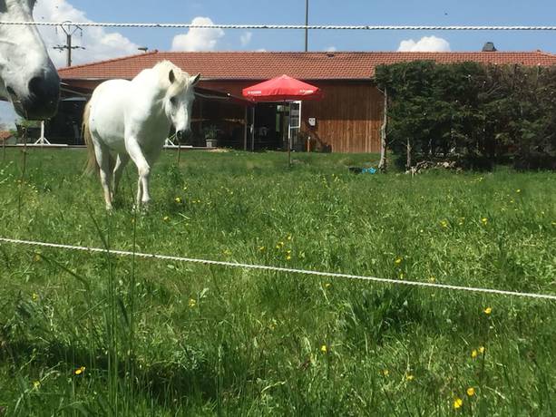 Imagen general del Hôtel Restaurant \