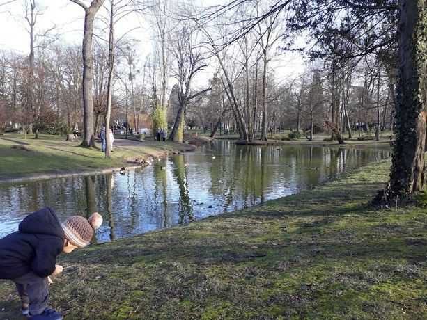 Imagen de los exteriores del Hôtel Vauban. Foto 15