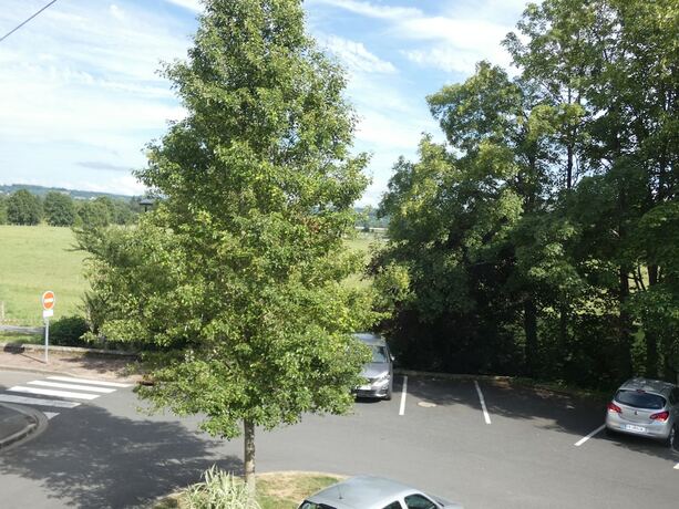 Imagen general del H&ocirc;tel de France, Pont-l'Eveque. Foto 8