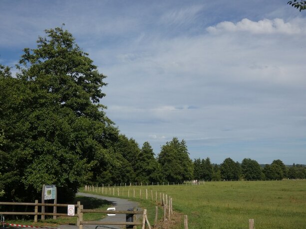 Imagen general del H&ocirc;tel de France, Pont-l'Eveque. Foto 9