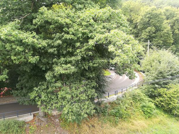 Imagen de la habitación del H&ocirc;tel de Li&egrave;ge. Foto 7