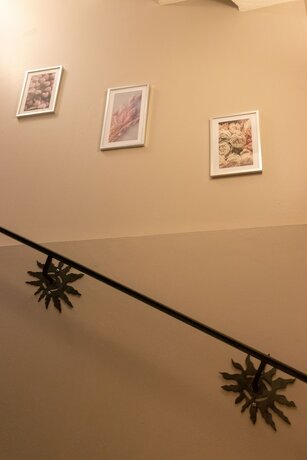 Imagen general del H&ocirc;tel les calanques, ROQUEBRUNE SUR ARGENS. Foto 4