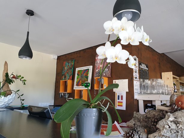 Imagen de los interiores del H&ocirc;tel restaurant l\'Espassole. Foto 19